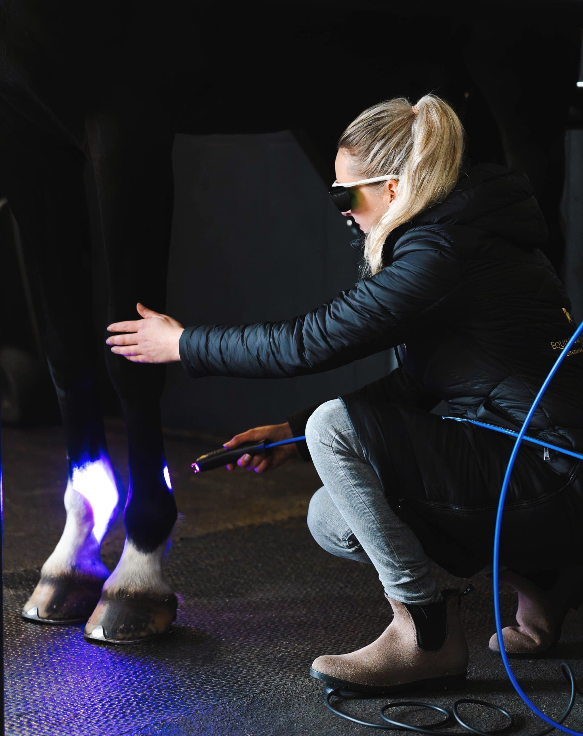 Onderneemster behandelt paardenbenen met lichttherapie