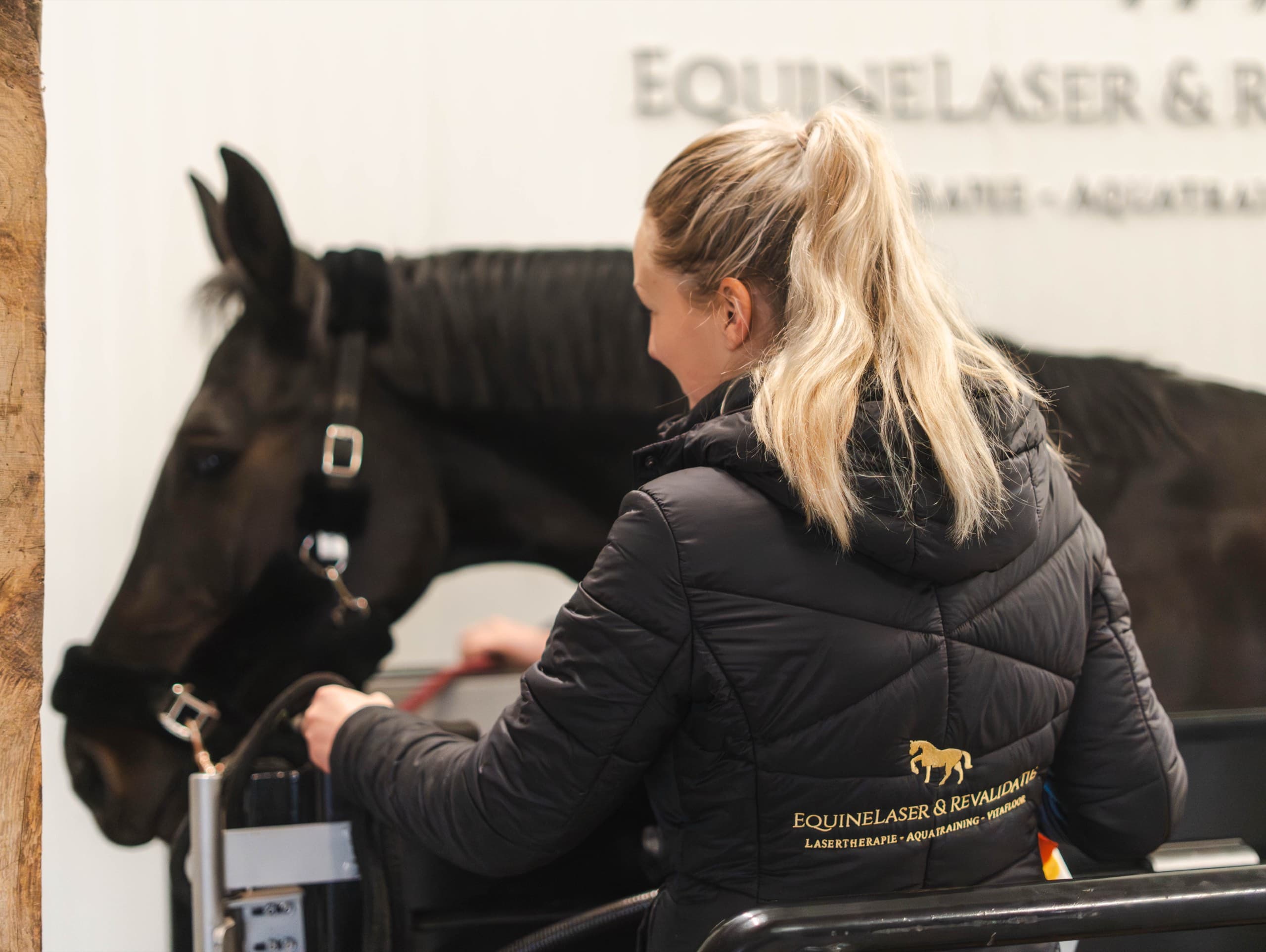 Onderneemster bij een paard voor het Equine Laser & Revalidatie-logo